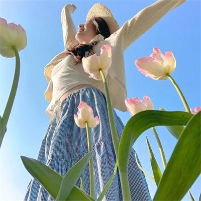 巴赫曼：沙漠之旅